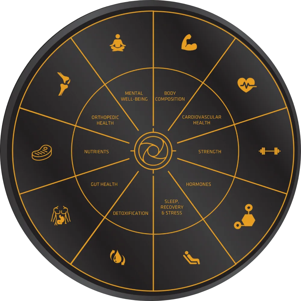 Stark Wheel of Health — Body Composition, Cardiovascular Health, Strength, Hormones, Sleep, Detoxification, Gut Health, Nutrients, Orthopedic Health, Mental Well-Being